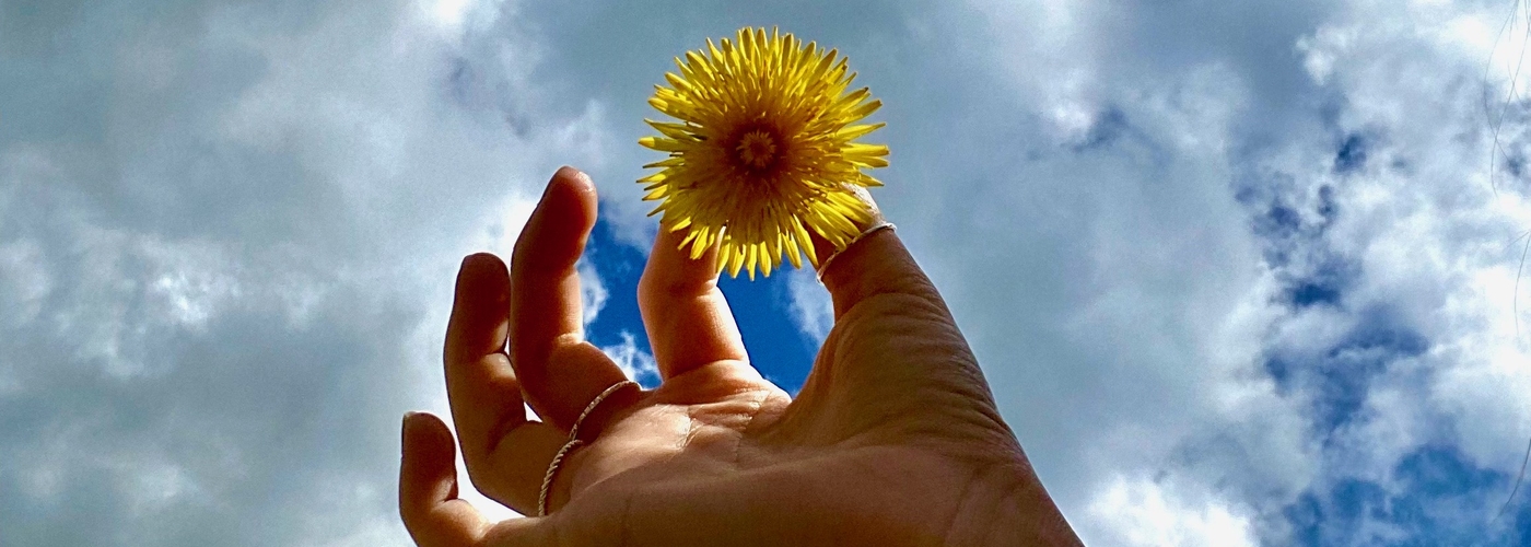 schulmagazin23 header jumbotron img